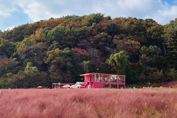 Herb Island and Sanjung Lake and Bidulginang Water Falls - Why this Pocheon day trip works