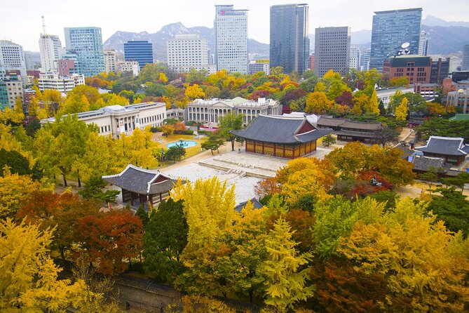 Highlights of Seoul Tour in Seoul: Deoksugung & N Seoul Tower - What the guide adds to the morning