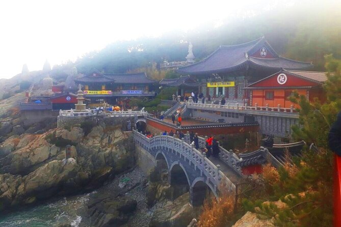 Jinhae Cherry Blossom + Busan Sunrise from Seoul - Gyeonghwa Station Cherry Blossom Road