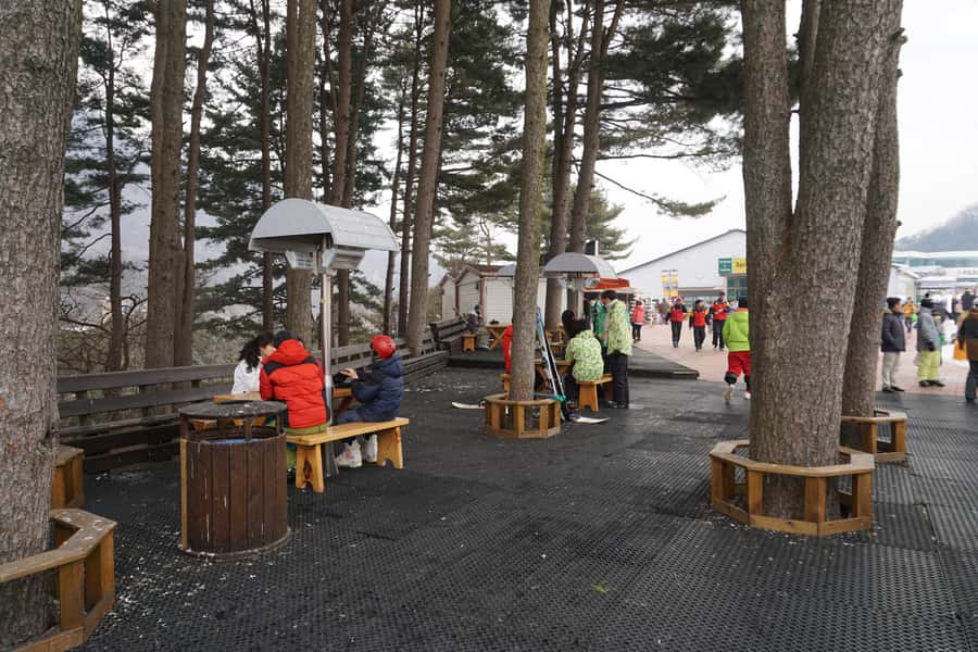 Jisan Forest Resort: Ski Full-Day Tour or Shuttle from Seoul - Timing, cancellation, and practical limits