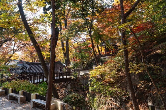 Jisan Forest Ski Resort and Everland 1 Day Tour - What the long schedule feels like
