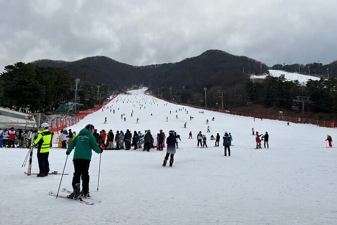 Jisan Forest Ski Resort and Everland 1 Day Tour - Is the $58.83 price good value?