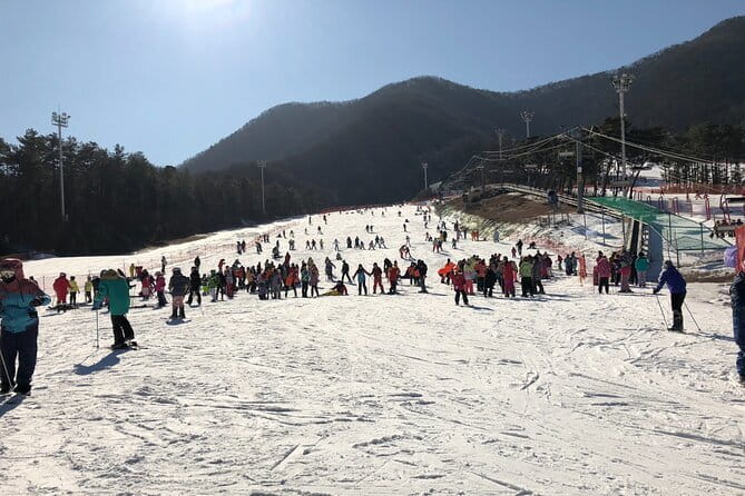 Jisan Forest Ski Resort and Everland 1 Day Tour - Your first three hours at Jisan