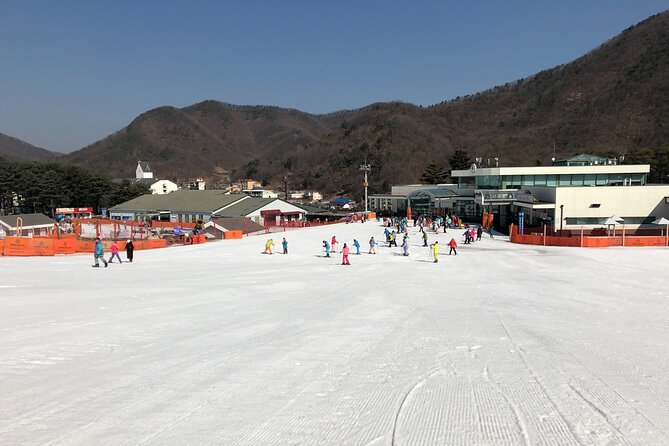 Jisan Ski One Day Tour - Key points to know before booking