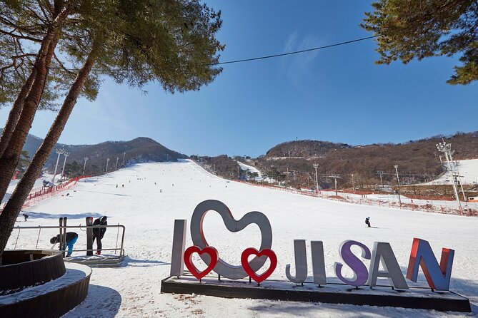 Korea Ski Tour from Seoul - Jisan Resort with Isaac Toast - Key points to know before you book