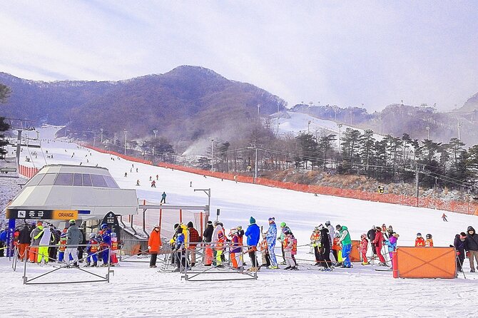 Korea Ski Tour from Seoul - Jisan Resort with Isaac Toast - Arriving at Jisan Forest Resort