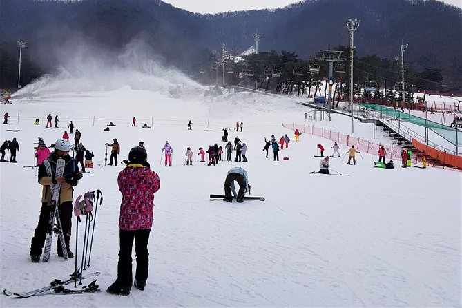 Korea Ski Tour from Seoul - Jisan Resort with Isaac Toast - What the 120-minute ski lesson covers