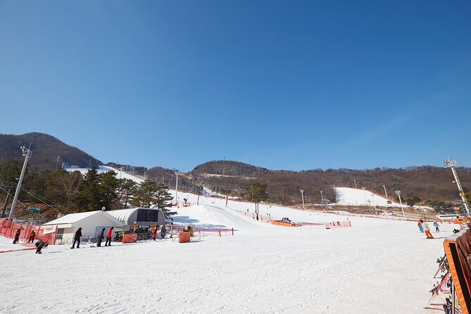 Korea Ski Tour from Seoul - Jisan Resort with Isaac Toast - Snow sledding for a gentler day in the snow