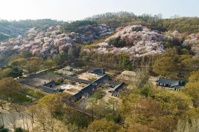 Korean Folk Village Afternoon Half day Tour - Farm music and traditional performances