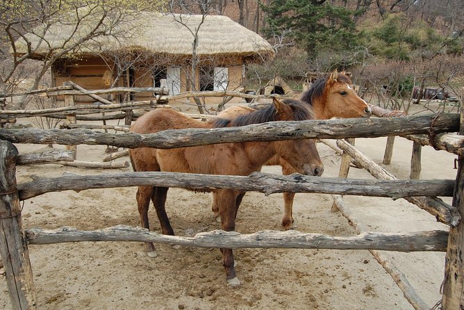 Korean Folk Village Afternoon Tour from Seoul - The guide can make or break the visit