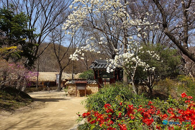 Korean Folk Village Half-day Guided Tour from Seoul - Who should book this half-day outing?