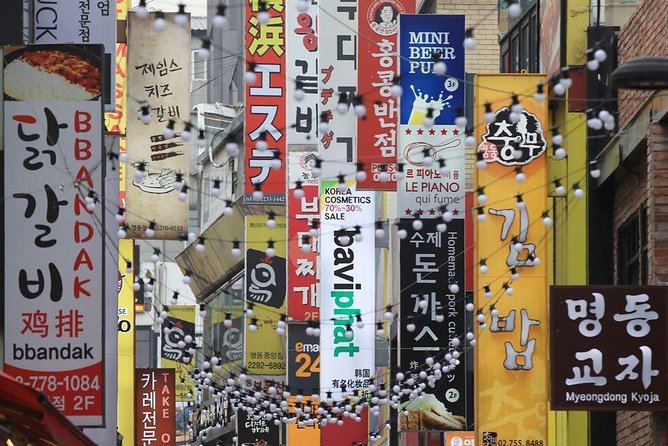 Korean History & Heritage Tour - Cheonggyecheon Stream and a changed city