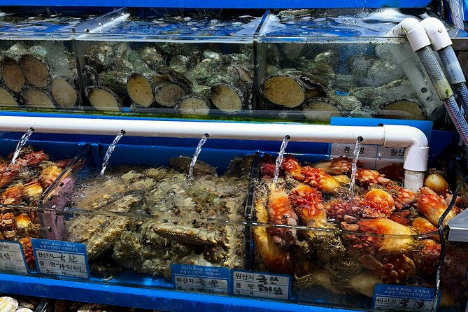 Korean Market Adventure with Chef Yie - Noryangjin Fish market - What $150 per person really buys