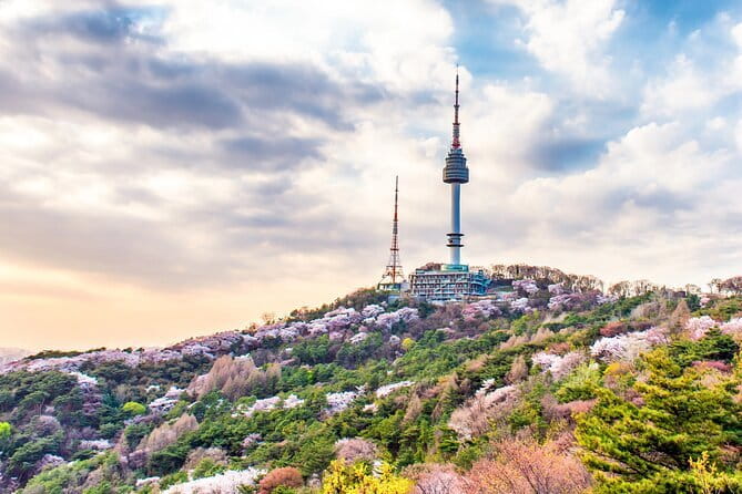 Lee’s Private 4-hour Customized Seoul Tour - DDP, museums, and the War Memorial