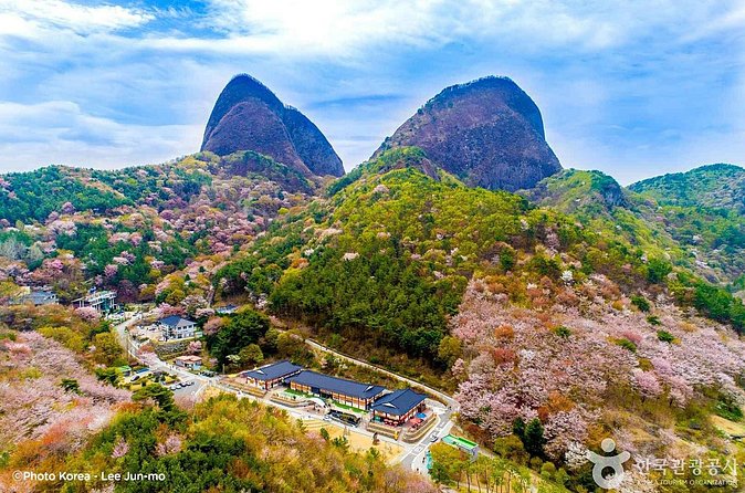 Maisan Cherry Blossom and Jeonju Hanok Village - The transfer from Jinan-gun to Jeonju