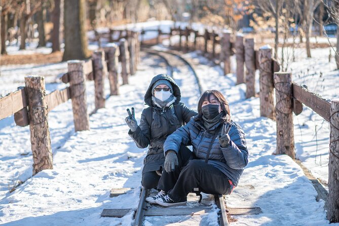 Make Your Trip Around Nami Island With an Expert(DSLR option) - Seasonal choices: strawberries, skiing, and Alpaca World