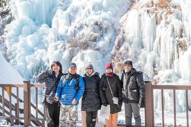 Make Your Trip Around Nami Island With an Expert(DSLR option) - Nami Island, three hours among famous trees and water