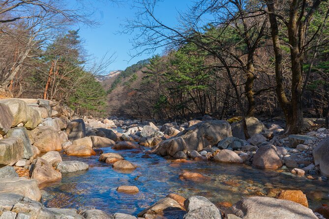 Mount Seorak and Nami Island One Day Tour from Seoul - The road time is part of the bargain