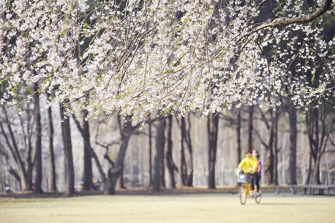 Mount Seorak and Nami Island One Day Tour from Seoul - Guides make the free time work better