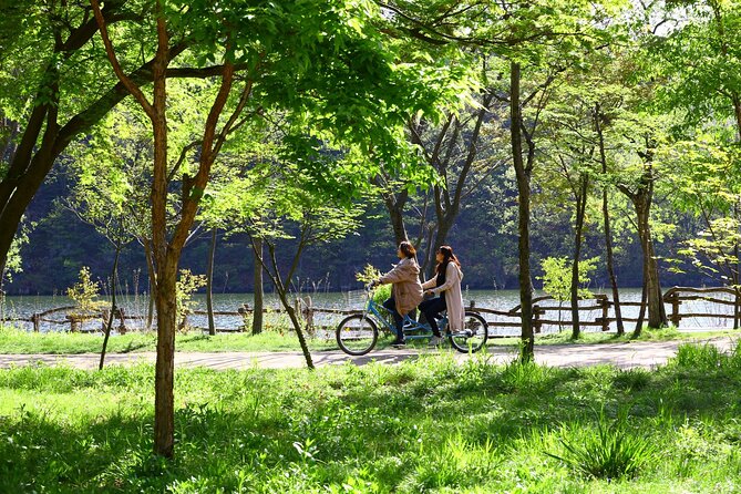 Mount Seorak and Nami Island One Day Tour from Seoul - Who should book this day trip