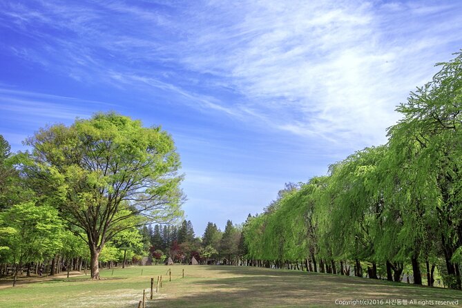 Mount Seorak and Nami Island One Day Tour from Seoul - Booking and cancellation details to keep in mind