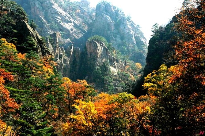 Mt.Seorak & Naksan Temple Day Trip from Seoul - Meals, personal costs, and the cable car