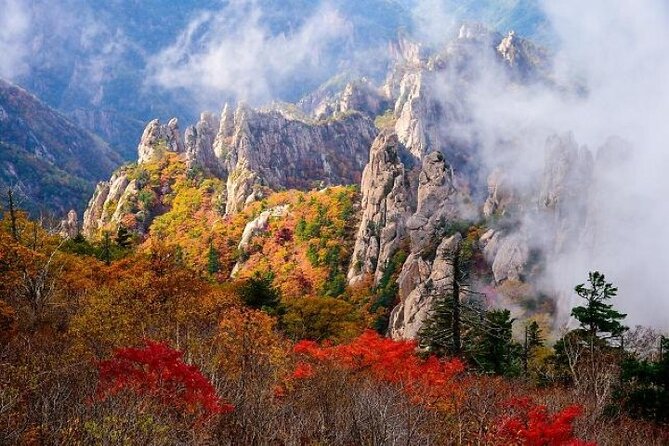 Mt.Seorak & Naksan Temple Day Trip from Seoul - Starting with Seoraksan National Park