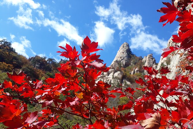 Mt. Seorak+Nami Island+Garden of Morning Calm Day Trip from Seoul - Why this day trip works as a Seoul escape