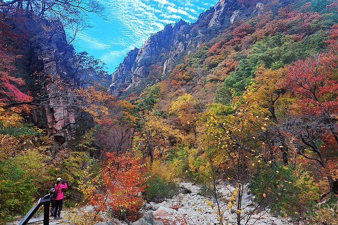 Mt. Seorak+Nami Island+Garden of Morning Calm Day Trip from Seoul - Nami Island, ferry ride, and tree-lined paths