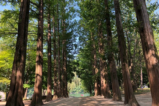 Mt. Seorak+Nami Island+Garden of Morning Calm Day Trip from Seoul - Garden of Morning Calm after the main crowds
