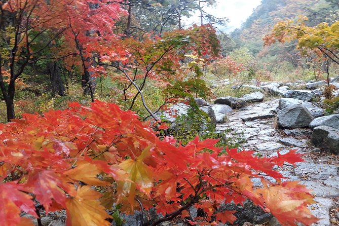 Mt. Seorak+Nami Island+Garden of Morning Calm Day Trip from Seoul - The guide can make or break a packed schedule