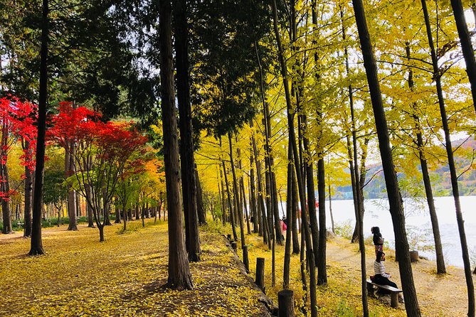 Mt. Seorak+Nami Island+Garden of Morning Calm Day Trip from Seoul - How much driving should you expect?