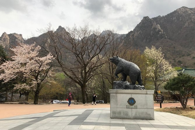 Mt. Seorak+Nami Island+Garden of Morning Calm Day Trip from Seoul - What the $95.18 price really covers