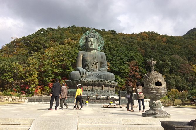 Mt. Seorak+Nami Island+Garden of Morning Calm Day Trip from Seoul - Who will enjoy this tour most?