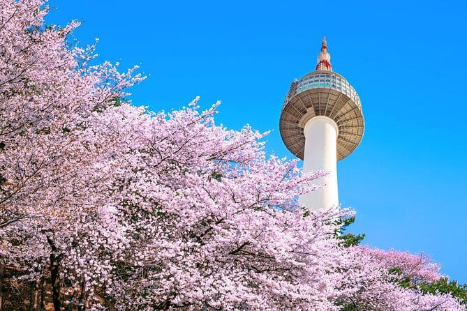 N Seoul Tower Observatory Ticket South Korea - Seeing Seoul from Namsan Tower
