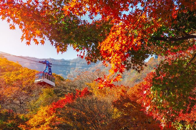 Naejangsan National Park Autumn Foliage One Day Tour from Seoul - Starting early with breakfast and a coach ride