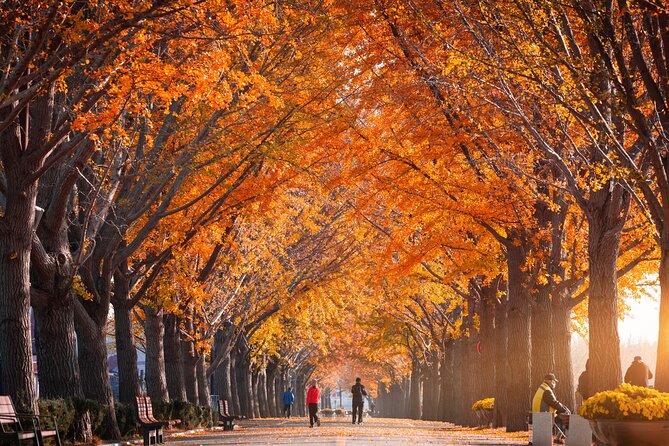 Naejangsan National Park Autumn Foliage One Day Tour from Seoul - Five hours among Naejangsan’s autumn colors