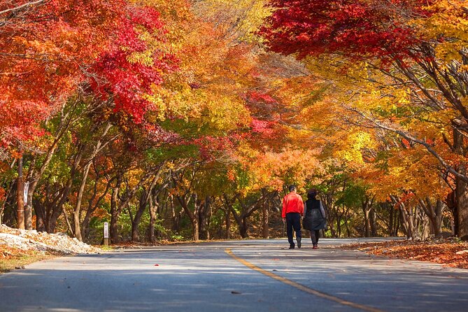 Naejangsan National Park Autumn Foliage One Day Tour from Seoul - Naejangsa Temple and its 636 origin