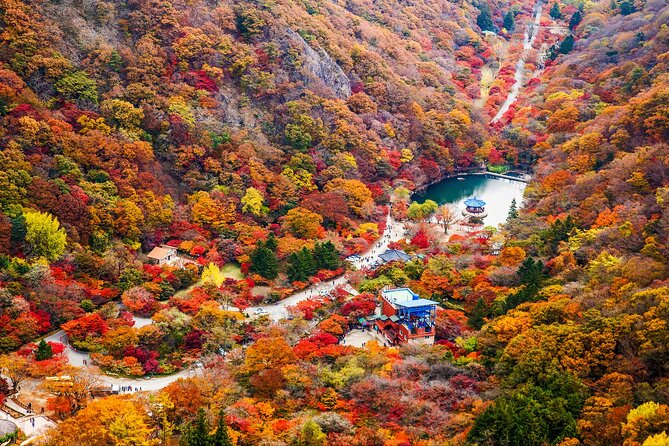 Naejangsan National Park Autumn Foliage One Day Tour from Seoul - What the $46.29 price really covers
