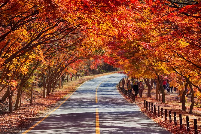 Naejangsan National Park Autumn Foliage One Day Tour from Seoul - Practical ways to make the day better
