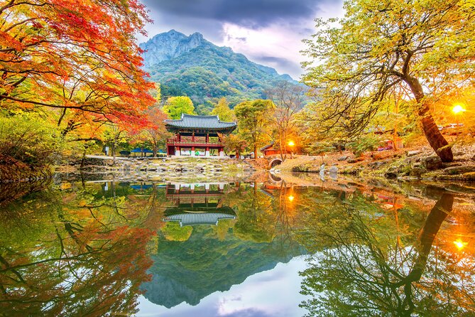 Naejangsan National Park Autumn Foliage One Day Tour from Seoul - The long road to Jeolla-do