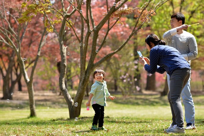 Nami Island and Petite France & Italian Village Day Trip from Seoul - Four hours to make Nami Island your own
