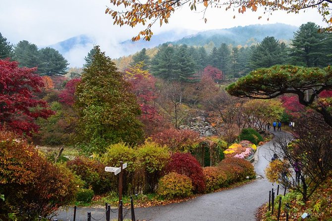 Nami Island from Seoul: Petit France and Garden of Morning Calm - Why this three-stop day trip works