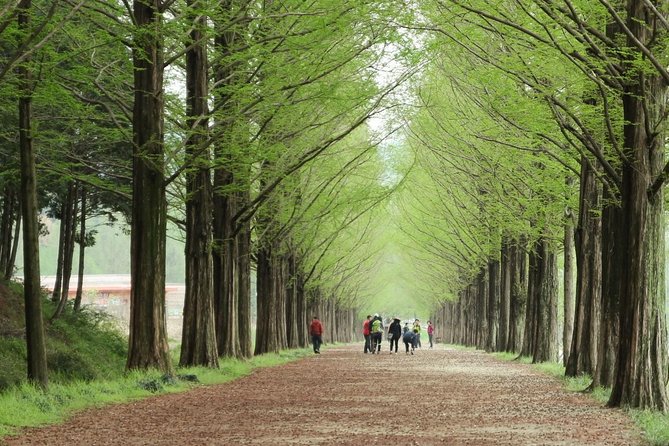 Nami Island& Petite France& Garden of Morning Calm& Italian Village One-Day Tour - The main drawbacks to consider