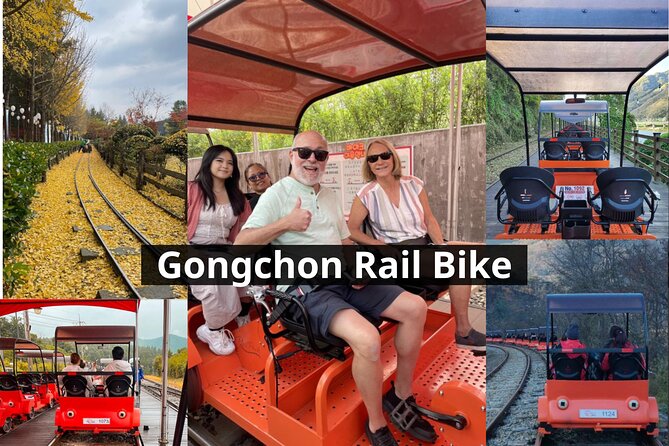 Nami Island & Petite France & Italian Village & Gangchon Rail Bike One-Day Tour - Why this makes a good day outside Seoul
