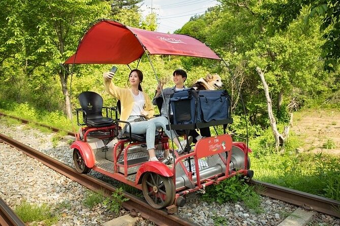 Nami Island & Petite France & Italian Village & Gangchon Rail Bike One-Day Tour - What the ten-hour schedule feels like