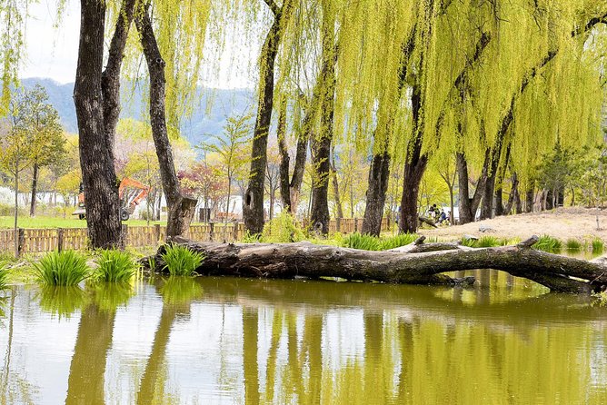 Nami Island & Petite France with Italian Village One-Day Tour - Who will enjoy this outing most