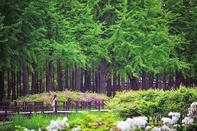 Nami Island & Petite France with Italian Village One-Day Tour - Nami Island: three hours among the trees