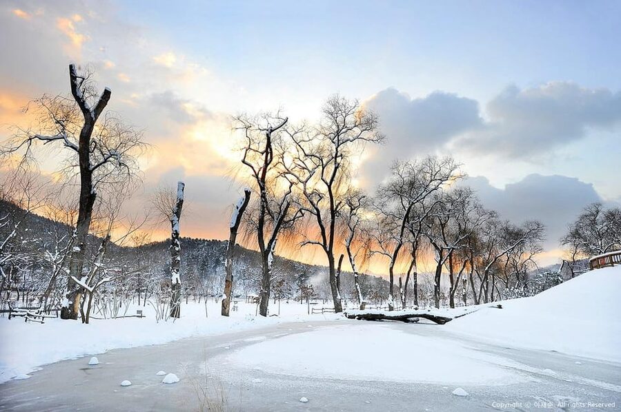 Nami Island, Railbike & Alpaca Garden Day Trip from Seoul - Booking details worth checking