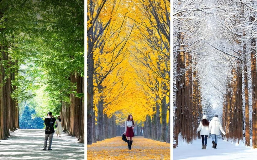 Nami Island, Railbike & Alpaca Garden Day Trip from Seoul - What the $78 price really covers